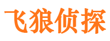 渭城寻人公司